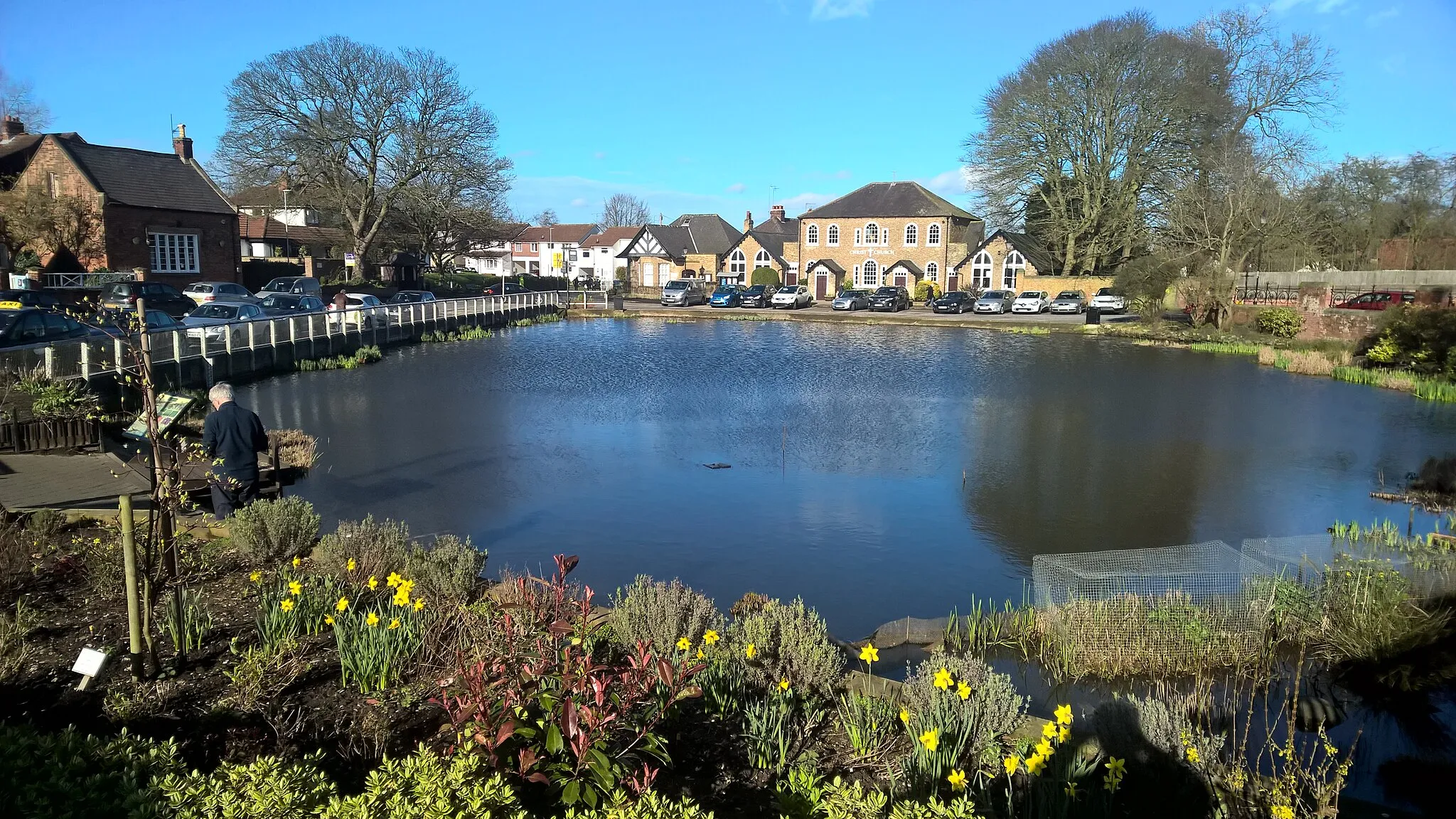 Photo showing: Swanland village pond