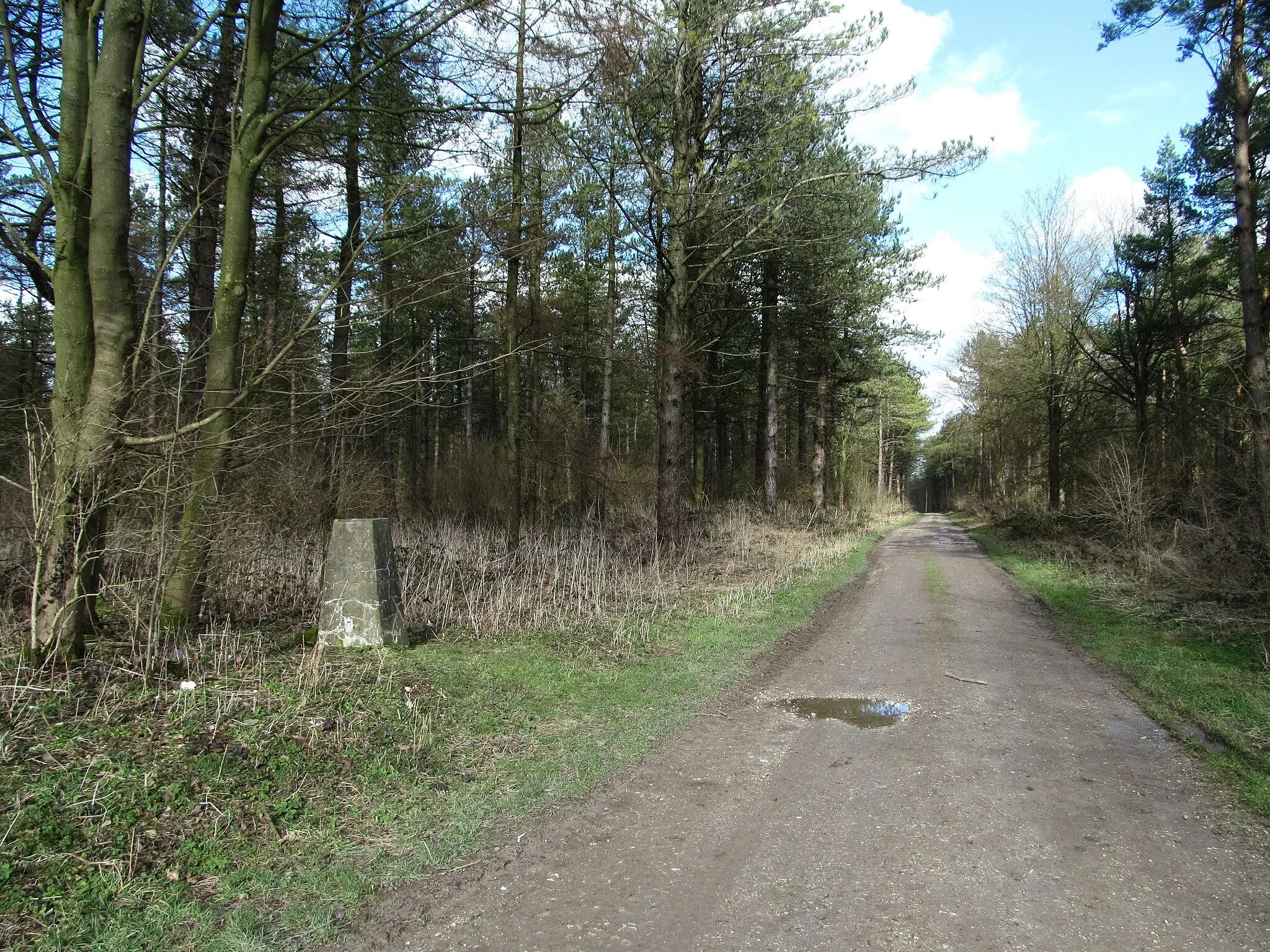 Photo showing: Wolds Way at Settrington Beacon