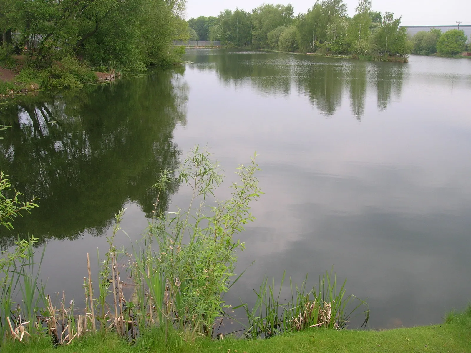 Photo showing: Lake, Selby