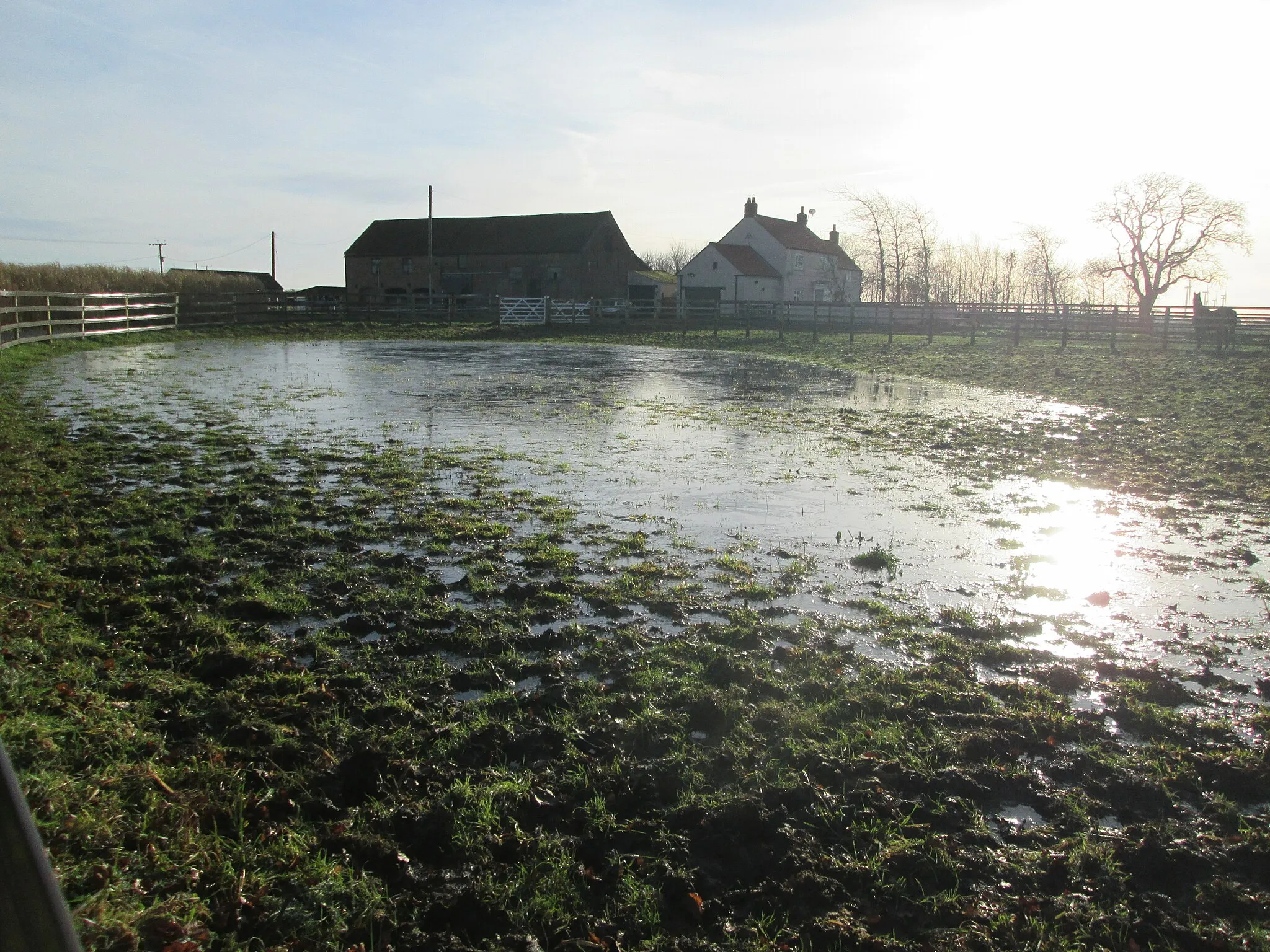 Photo showing: A  very  wet  paddock  at  Woodside  Farm