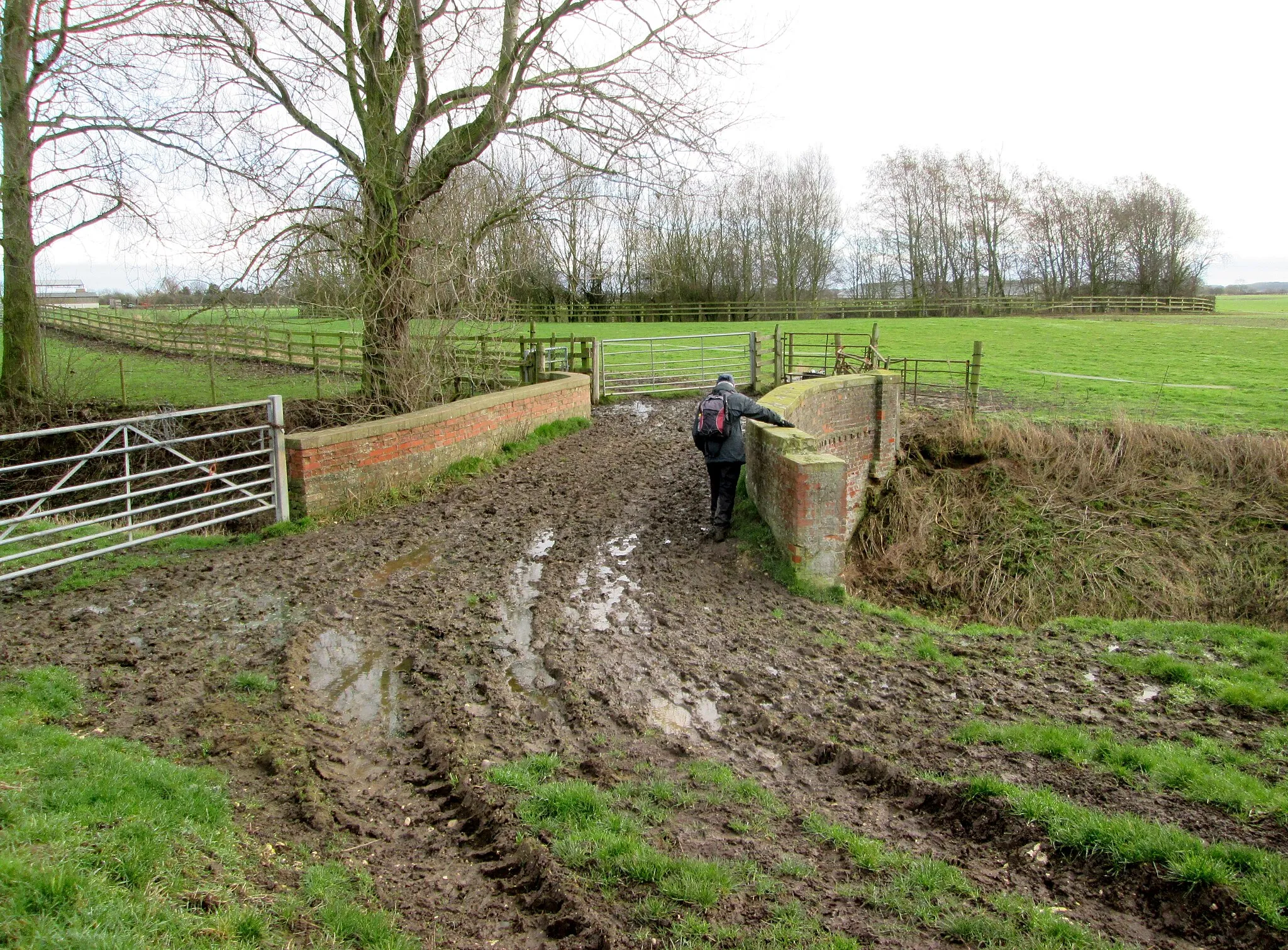 Photo showing: Bridge  over  drain  to  Low  Emmotland  farm