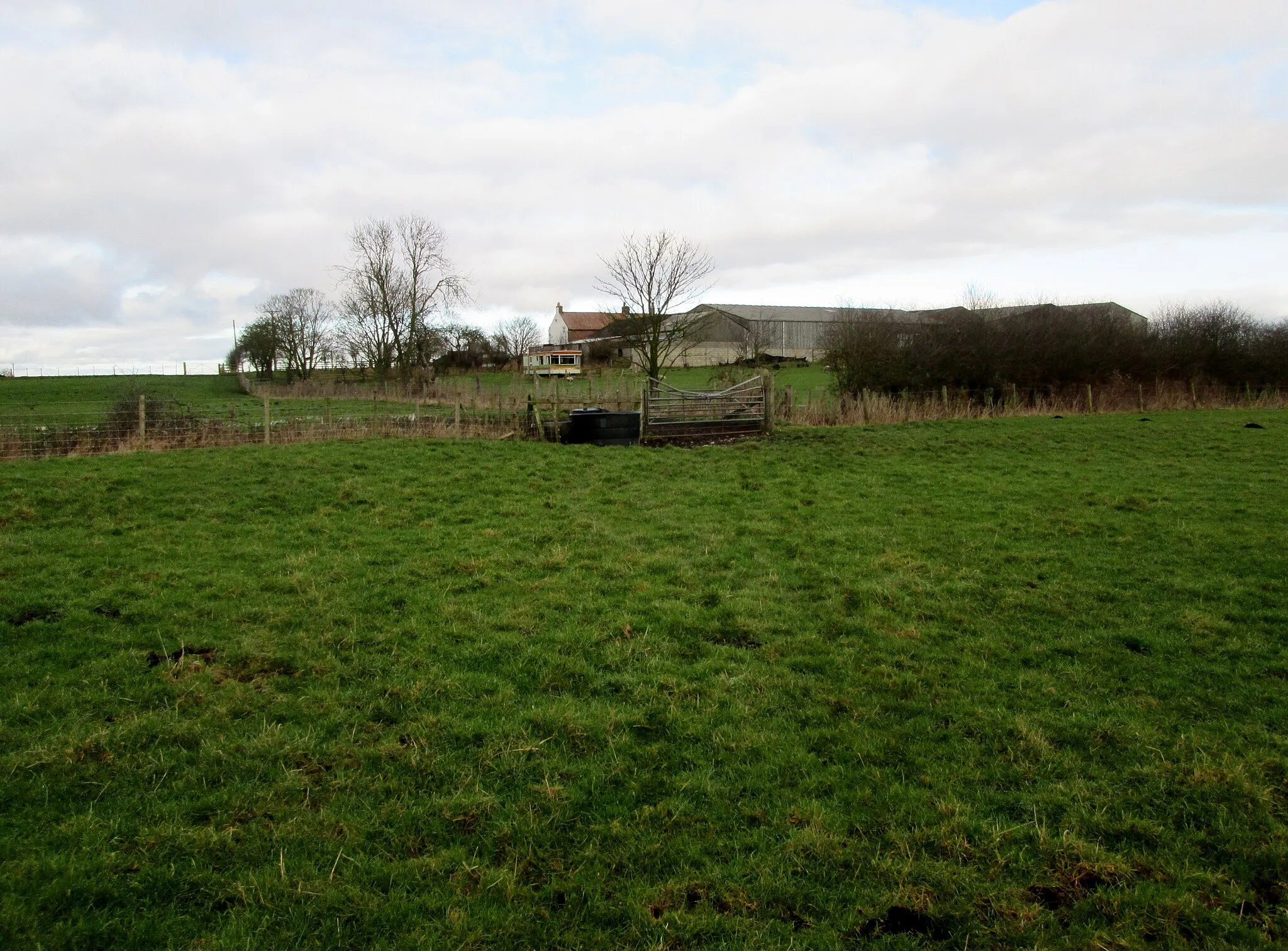 Photo showing: Back  toward  Coneygarth  Hill  Farm