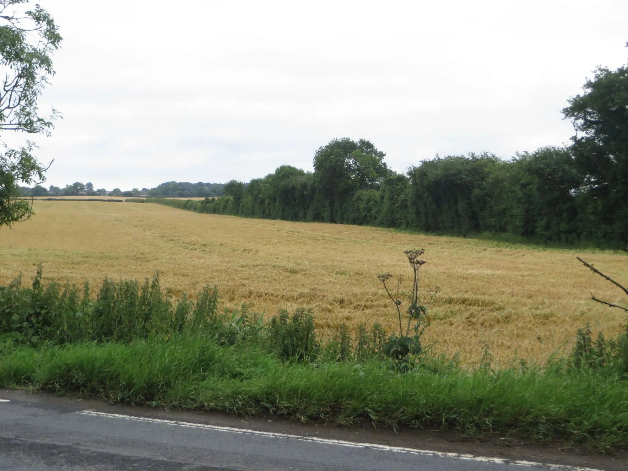 Photo showing: Arable field east of Catwick