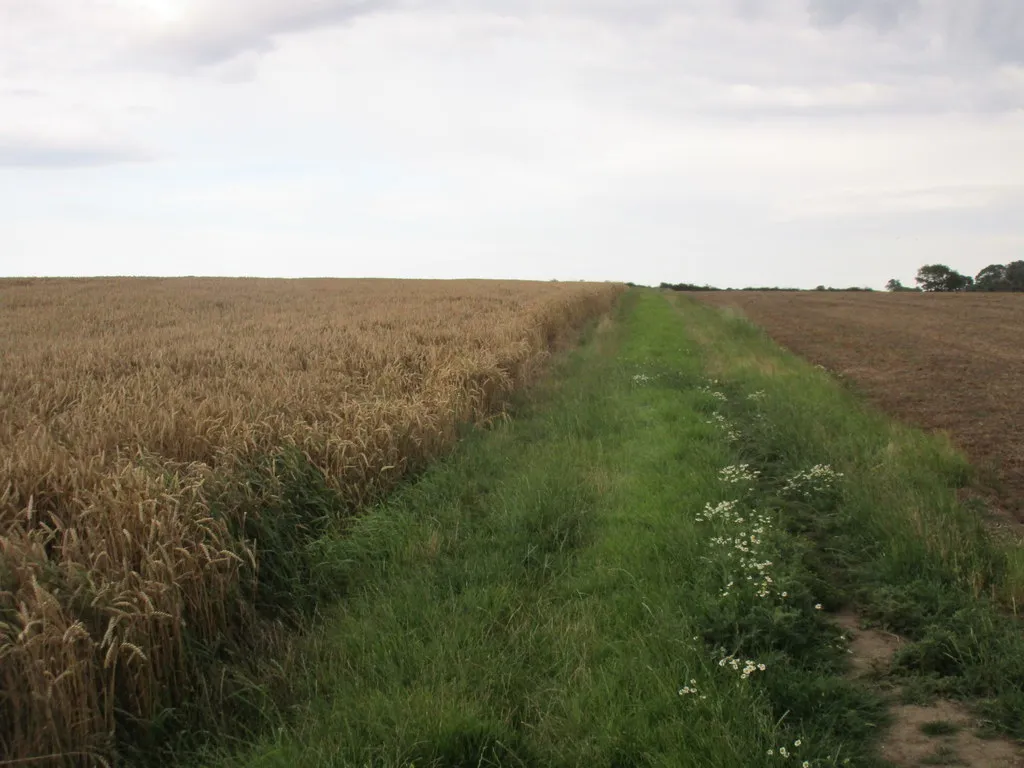 Photo showing: Bridleway to Skirlaugh