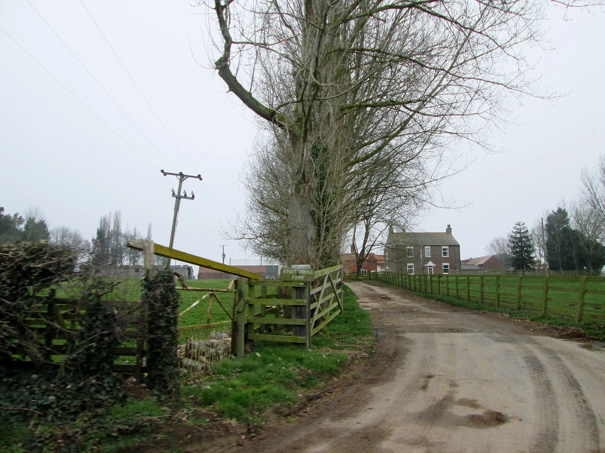Photo showing: Approach  road  to  Bygot  House  Farm