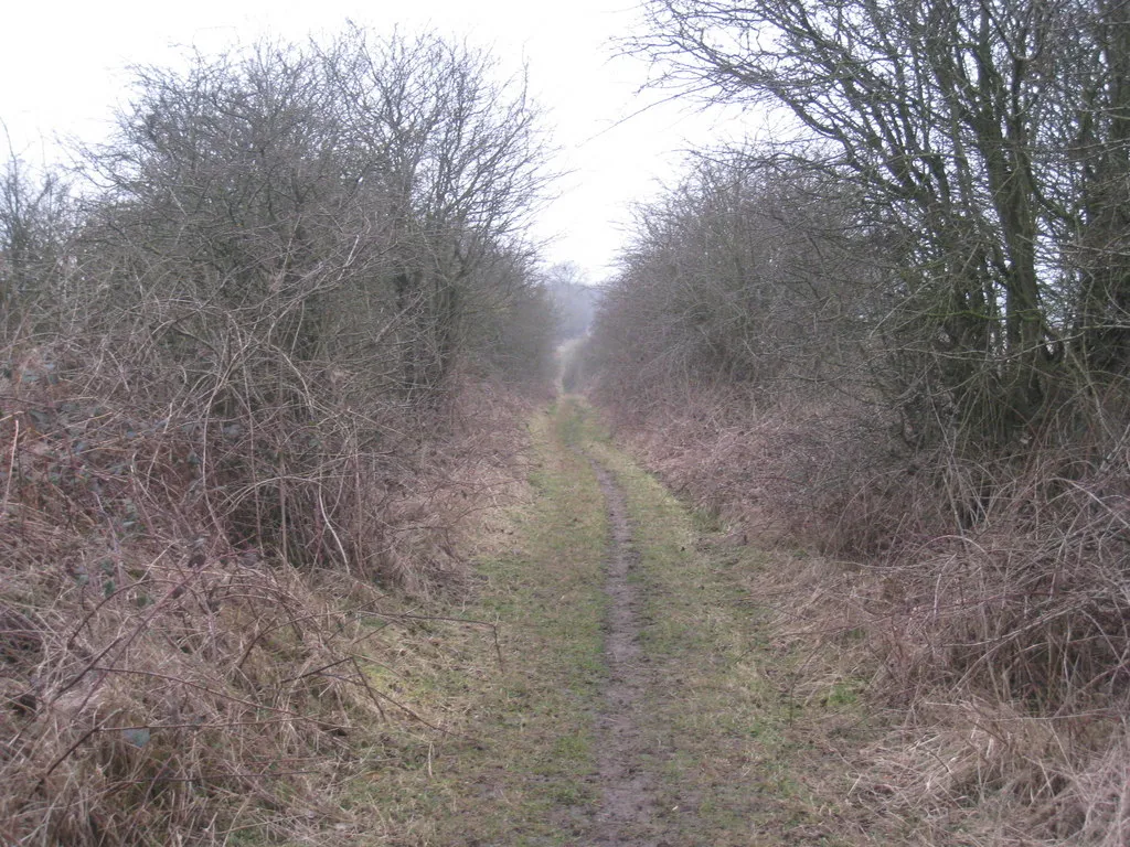 Photo showing: Along Green Lane (2)