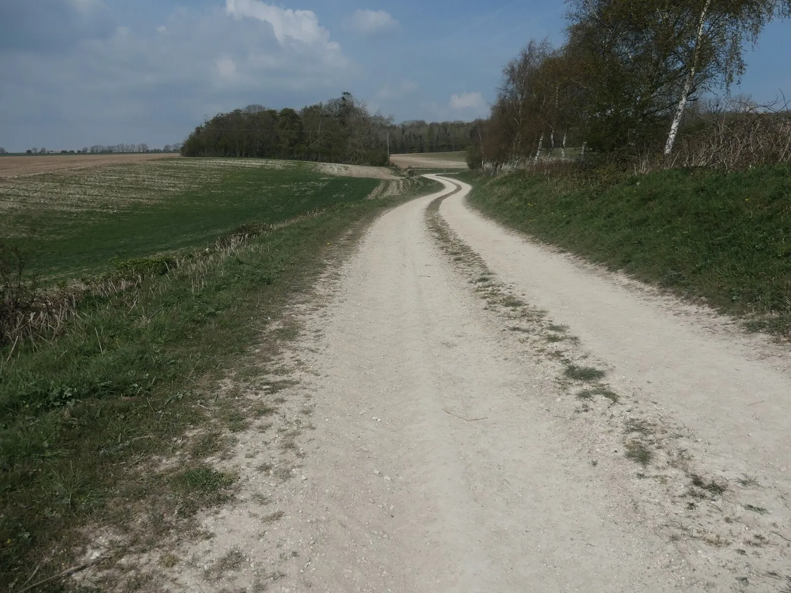 Photo showing: "Meet a chalky track ... heading up towards the woods", Garton-on-the-Wolds, East Riding of Yorkshire, England. Public bridleway on an access track to Garton Field. Quoted from Walk No. 3, Wetwang, in Sally Burnard's book 'Pocket Pub Walks in East Yorkshire'.