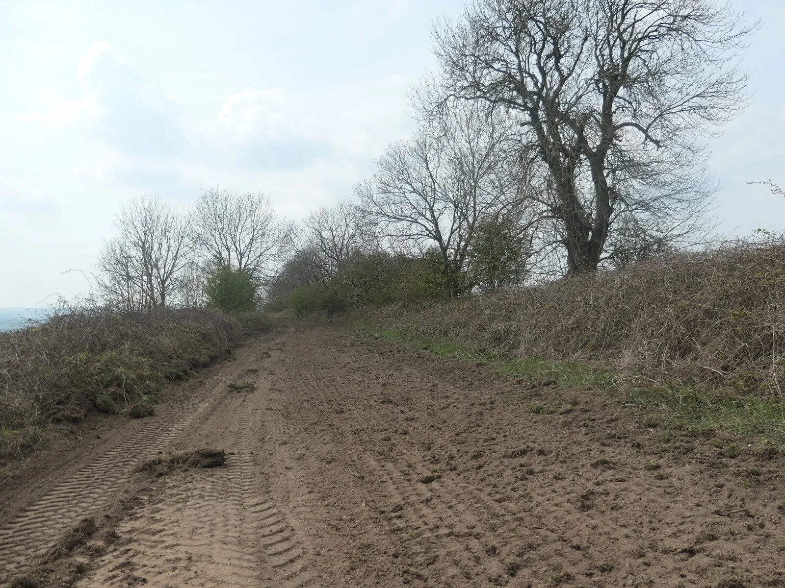 Photo showing: "Follow the wide grassy track", Sledmere, East Riding of Yorkshire, England. Certainly wide, but not grassy in May 2021. York Road Green Lane is undergoing planned maintenance to get rid of many very deep ruts. The lane has been levelled and scarified. It will be reseeded and motor vehicles banned until spring 2022 to give the new grass a chance to grow. The lane is closed to everyone for a fortnight while the work is carried out, but there are only closure notices at road junctions. Joining at a footpath junction, the photographer was unaware of the closure. Quoted from Walk No. 3, Wetwang, in Sally Burnard's book 'Pocket Pub Walks in East Yorkshire'.