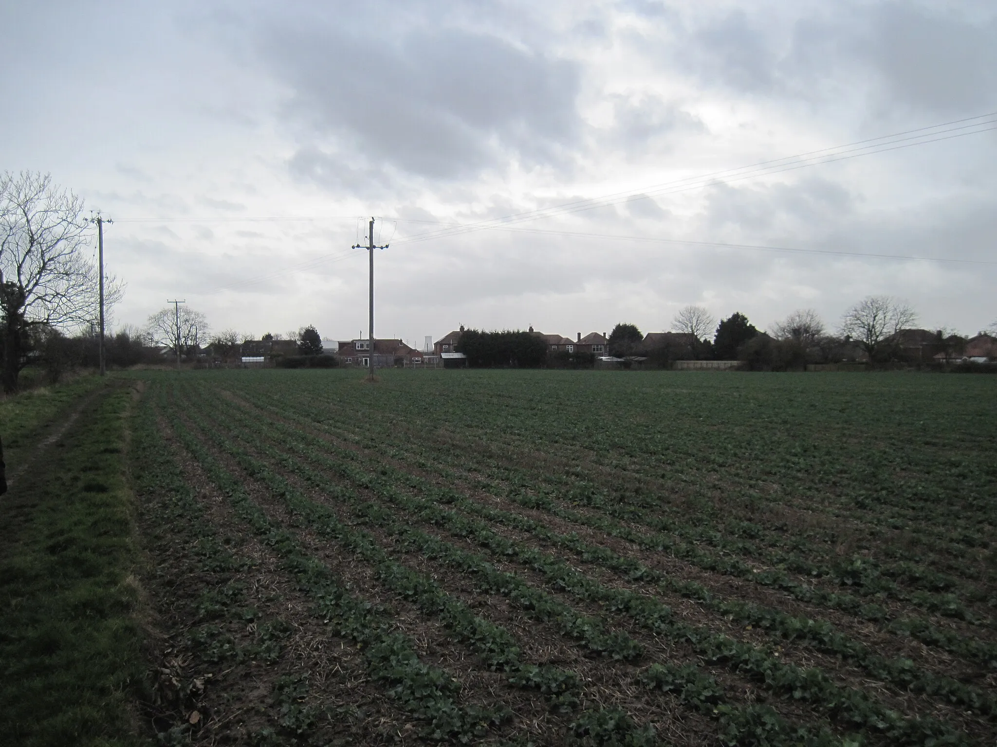 Photo showing: Field  edge  footpath  back  to  Bilton  and  B1238