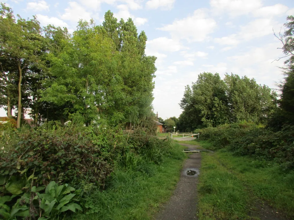Photo showing: Approaching Station Road, Burstwick