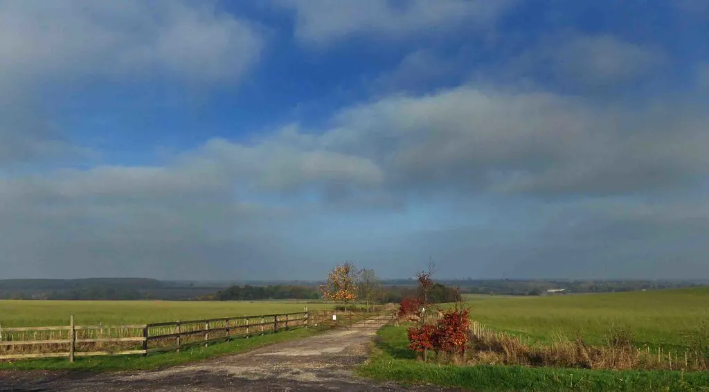 Photo showing: Access road to Moorhouse Farm