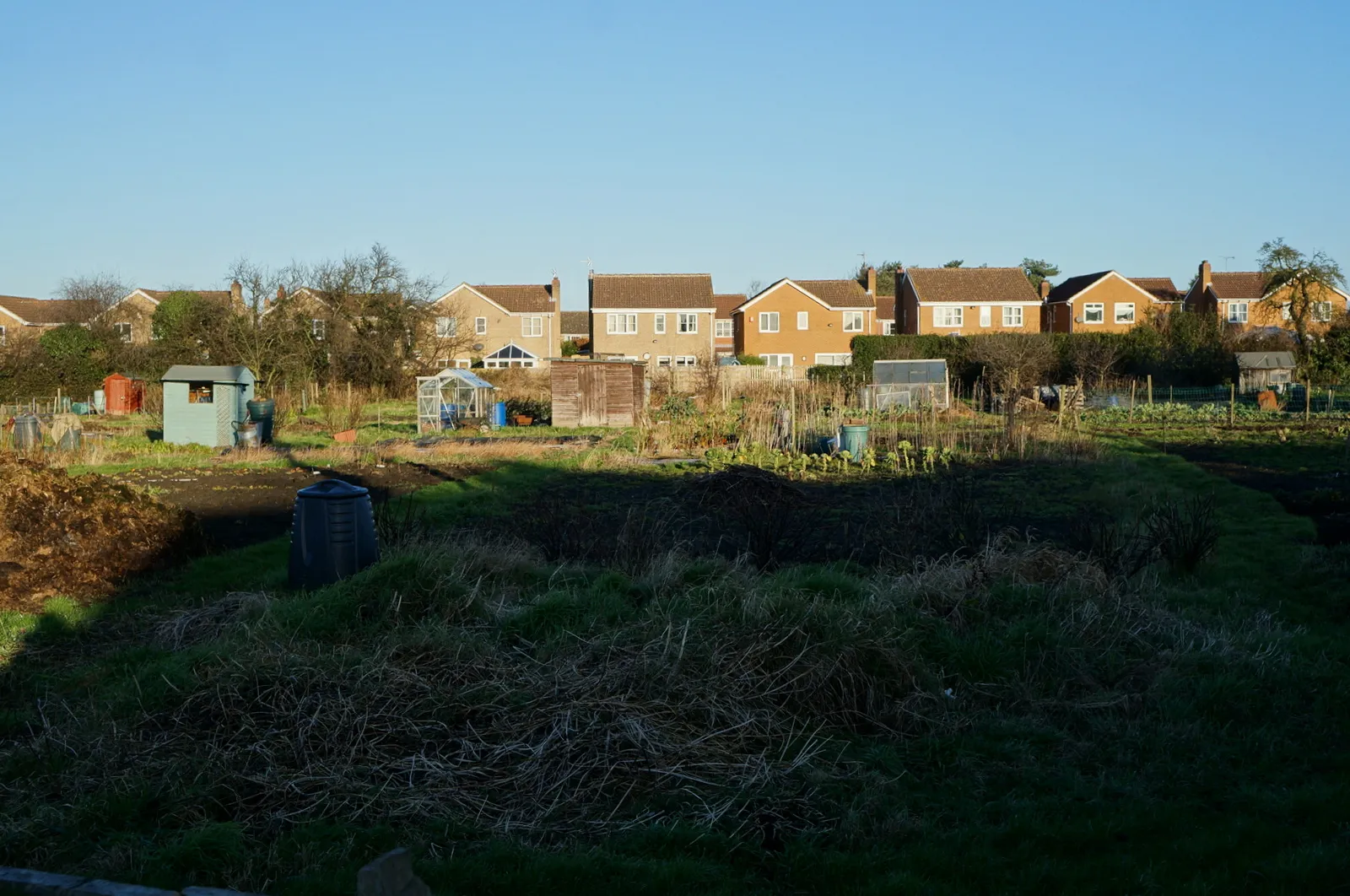 Photo showing: Allotments on Landing Lane, Riccall