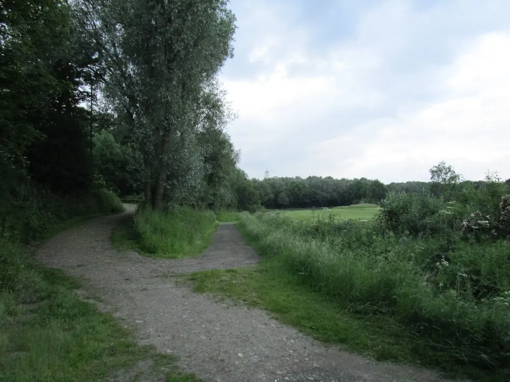 Photo showing: Bridleway to Newland