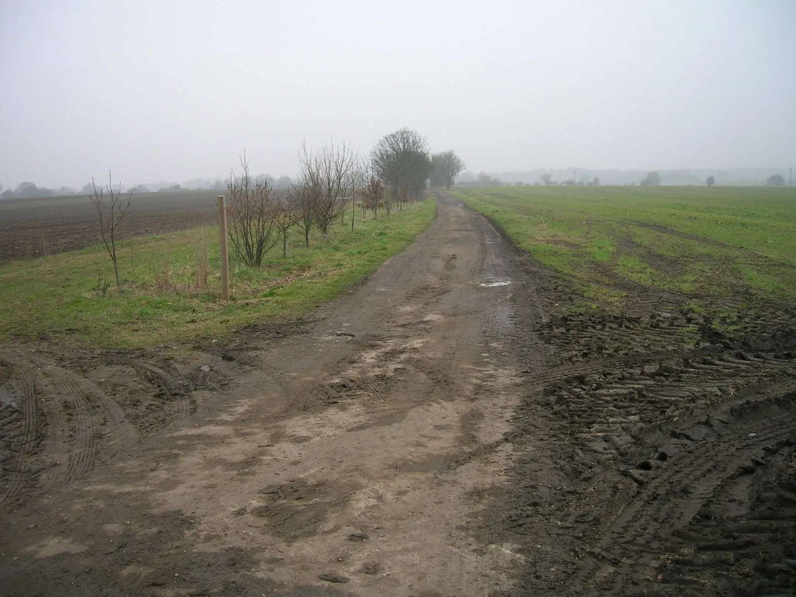 Photo showing: Farm track, West Cowick (footpath)