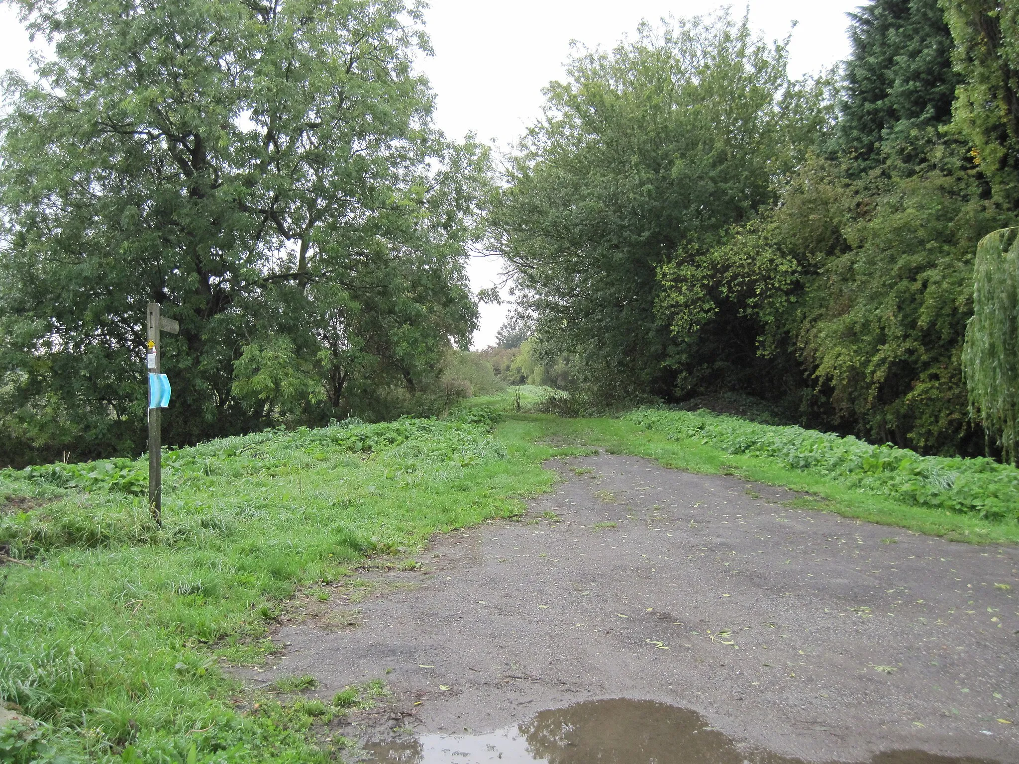 Photo showing: Footpath  east  of  Gilberdyke