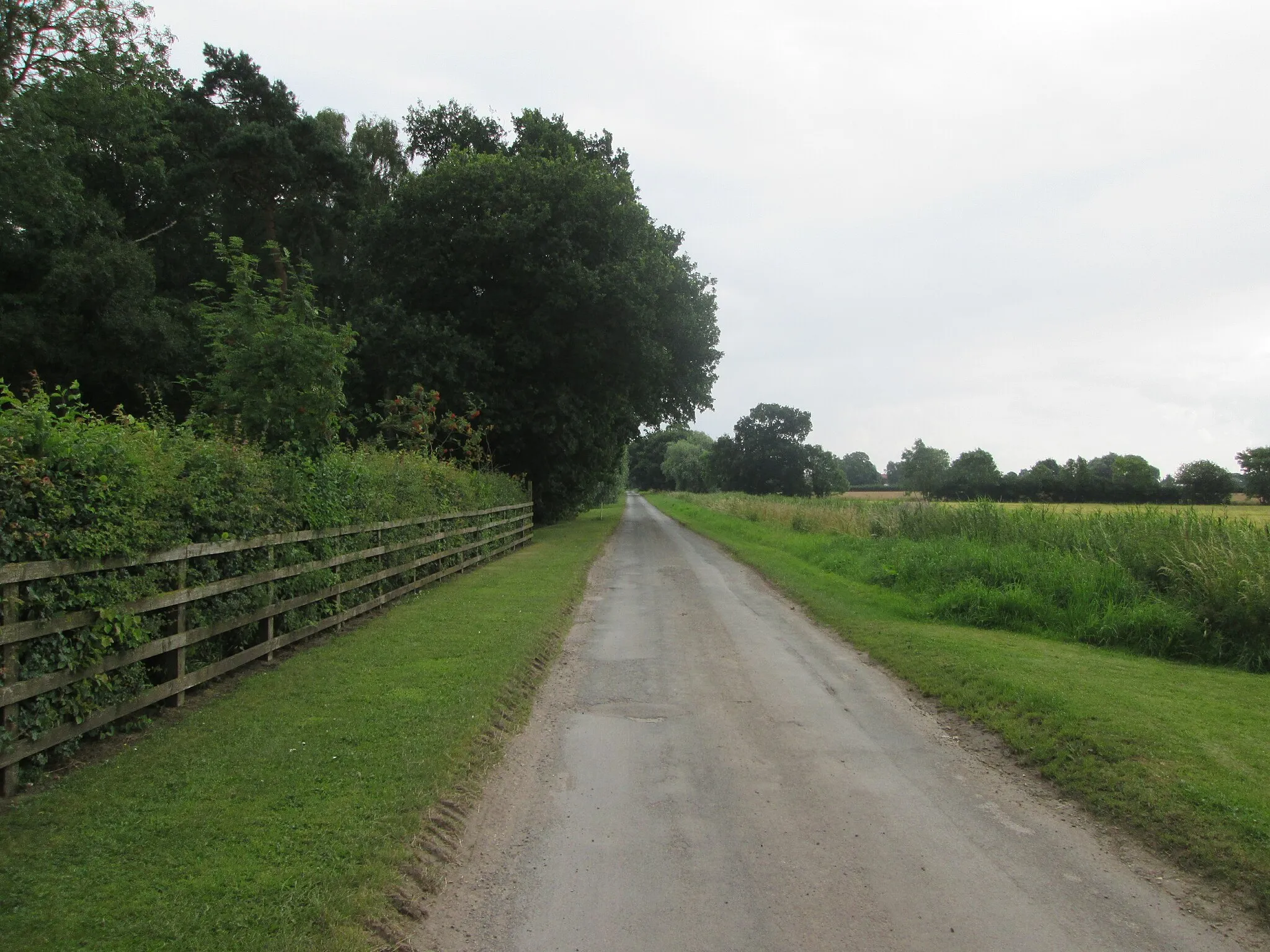 Photo showing: Anserdam  Lane  looking  south
