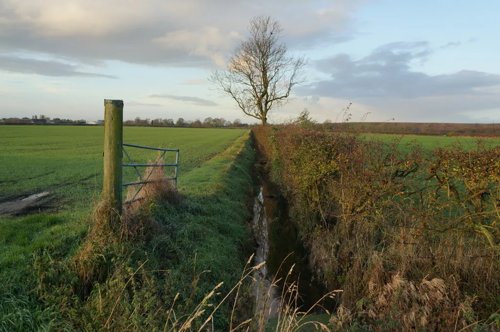Photo showing: A drain off Mill Lane