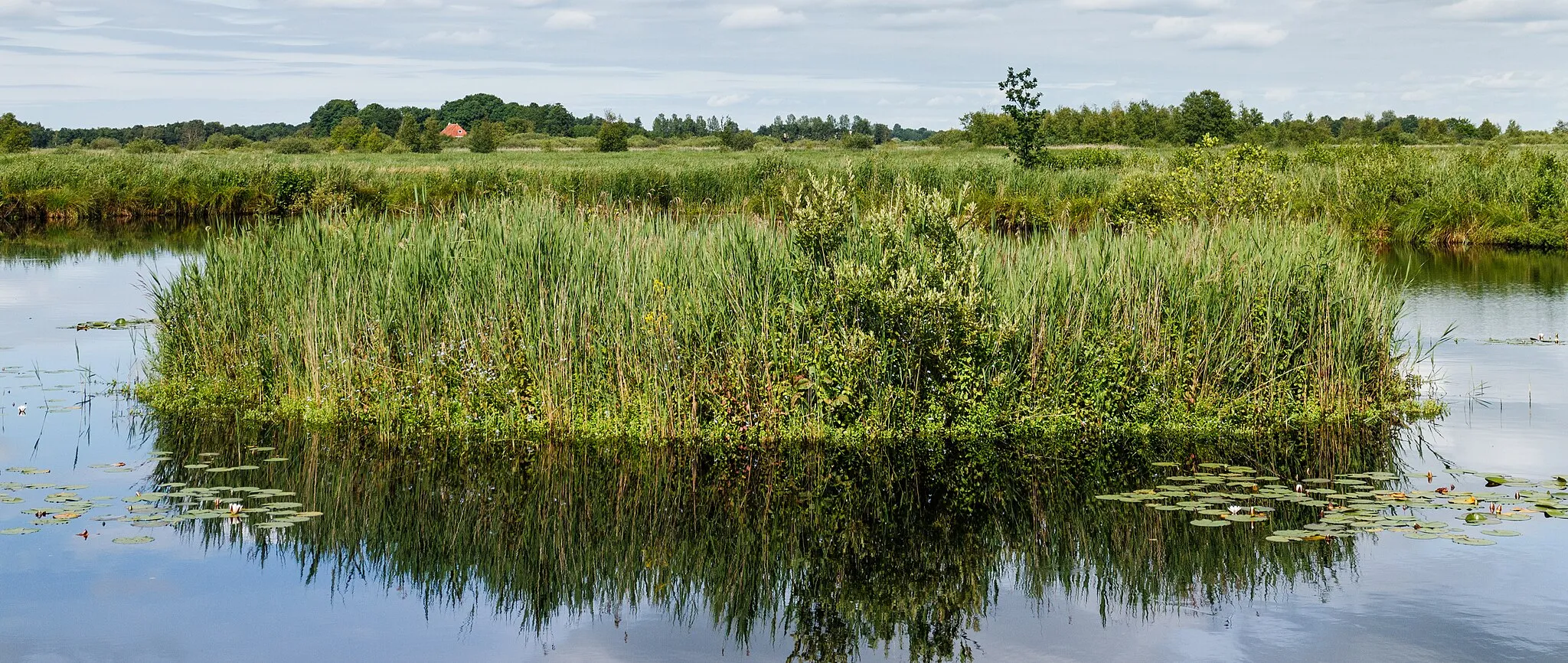 Photo showing: It Wikelslân nature. View from the bird observation hut.