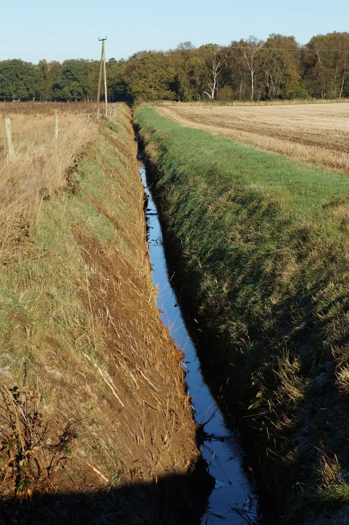 Photo showing: A drain off The Outgang (road)