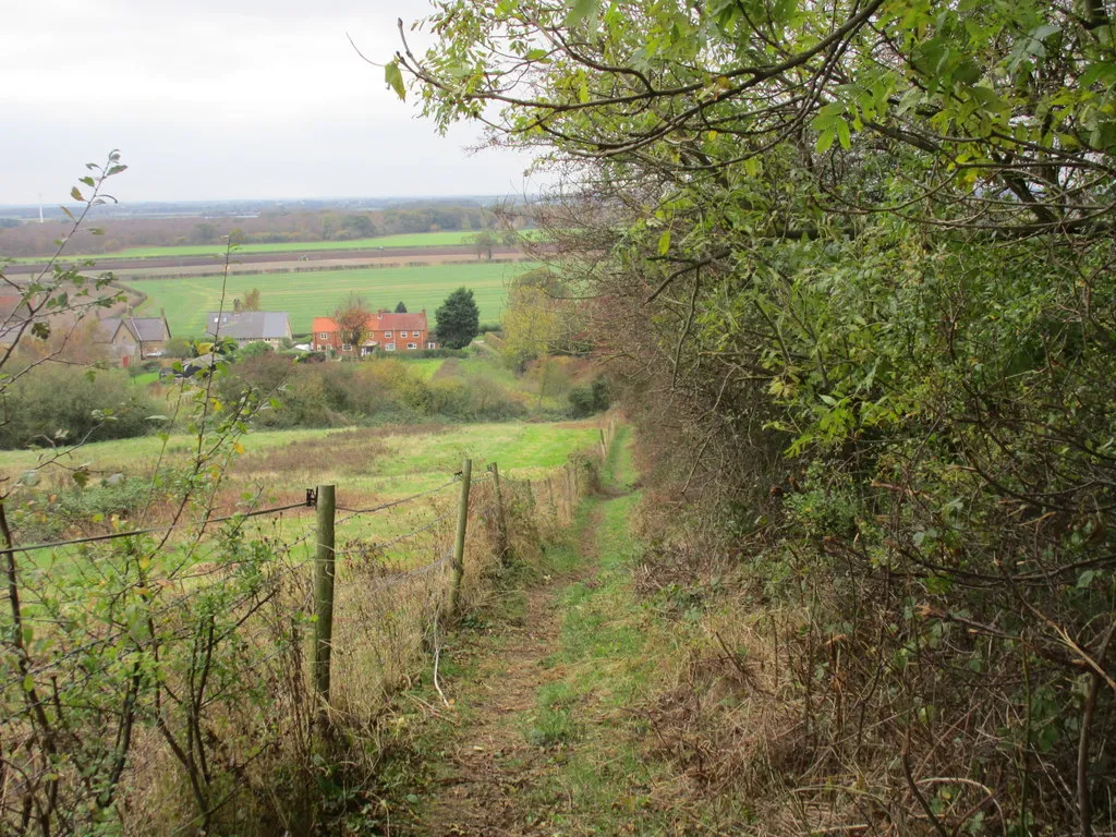 Photo showing: Bridleway to North Cliffe