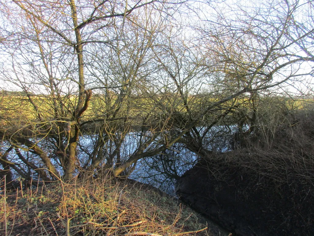 Photo showing: A glimpse of the River Derwent