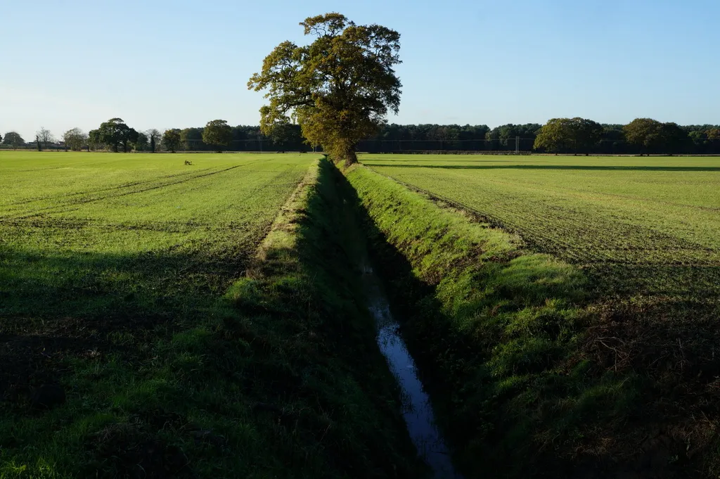 Photo showing: A drain off Drain Lane