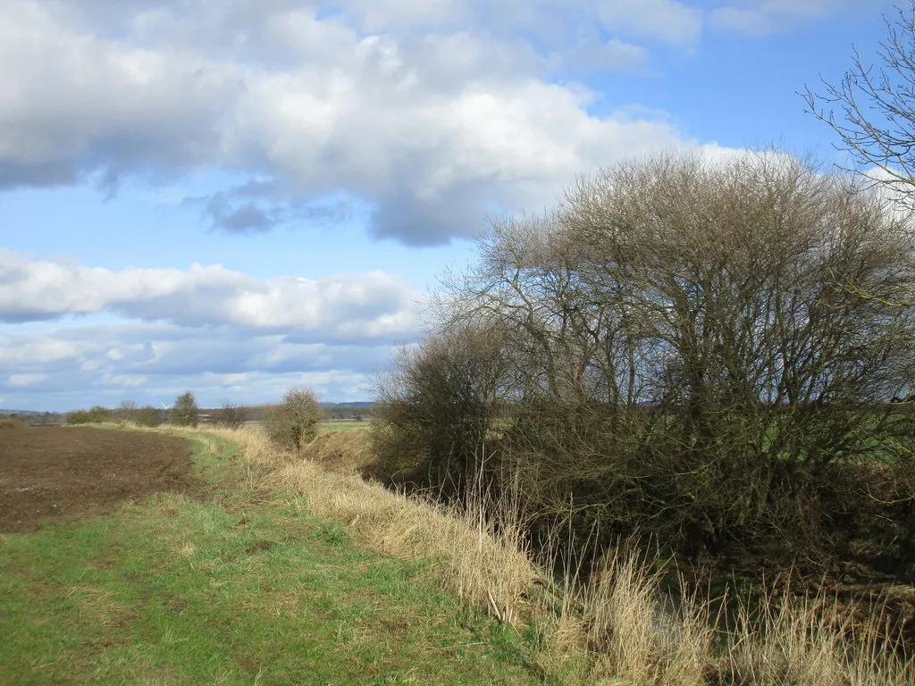 Photo showing: Alongside the River Foulness