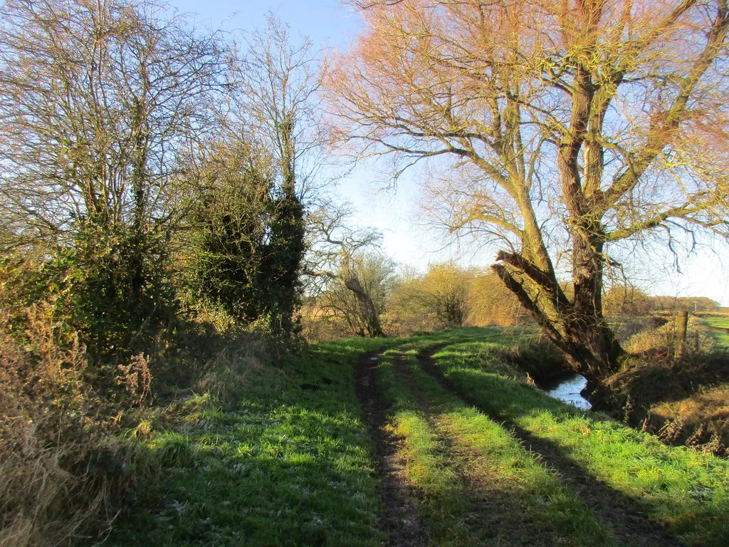 Photo showing: Alongside the Bielby Arm of the Pocklington Canal