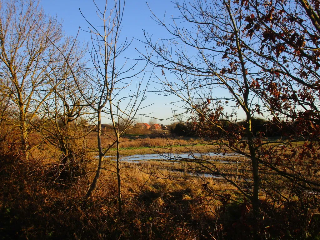 Photo showing: A glimpse of Bielby