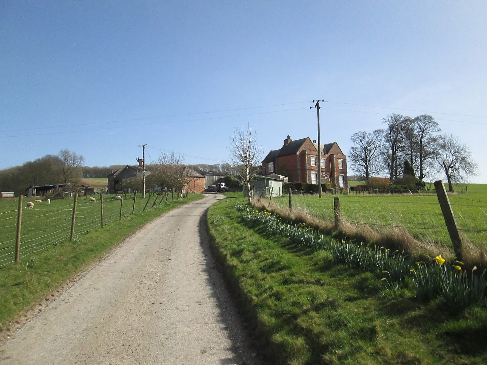 Photo showing: Access  road  to  Low  Warrendale  Farm