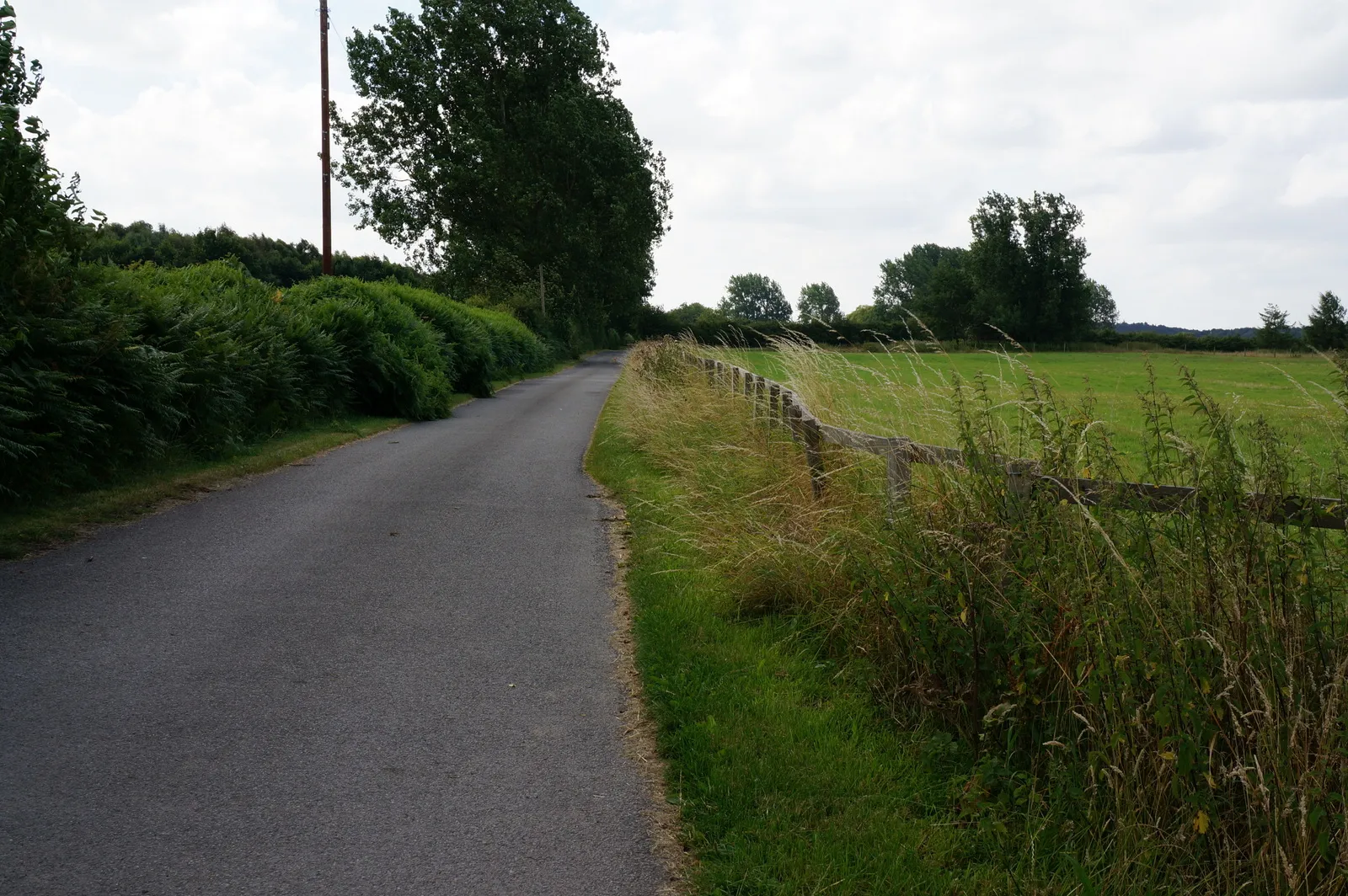 Photo showing: Road leading to Wigman Hall