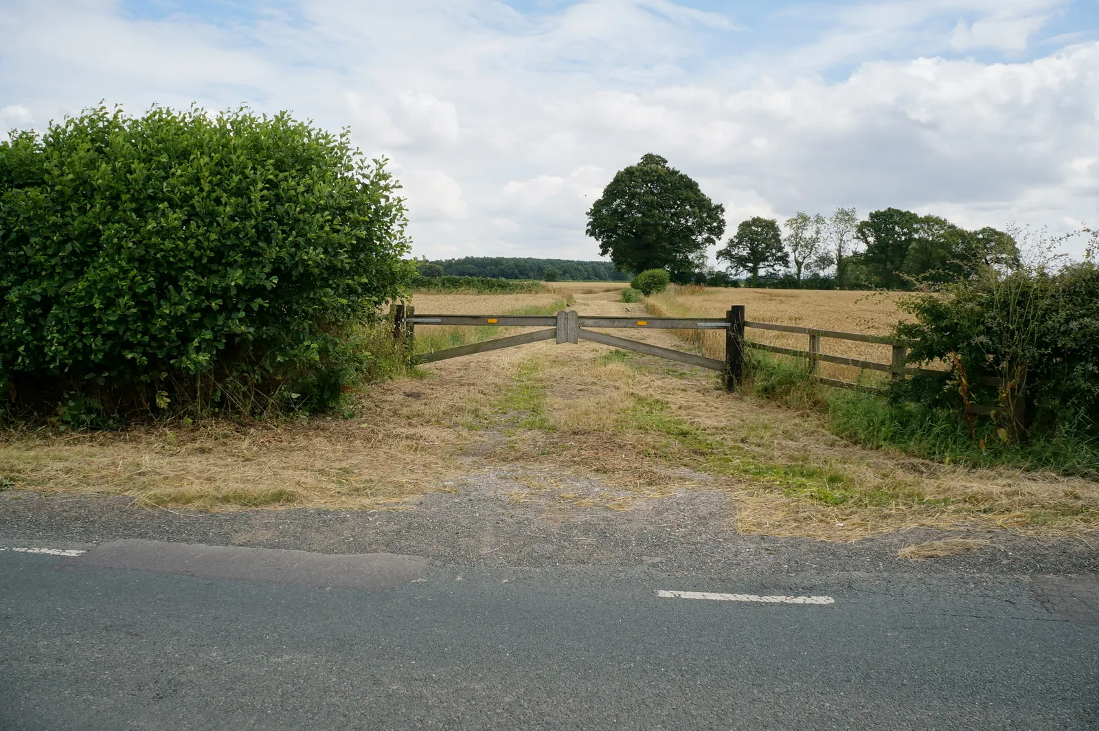 Photo showing: Farm track near Low Well Farm