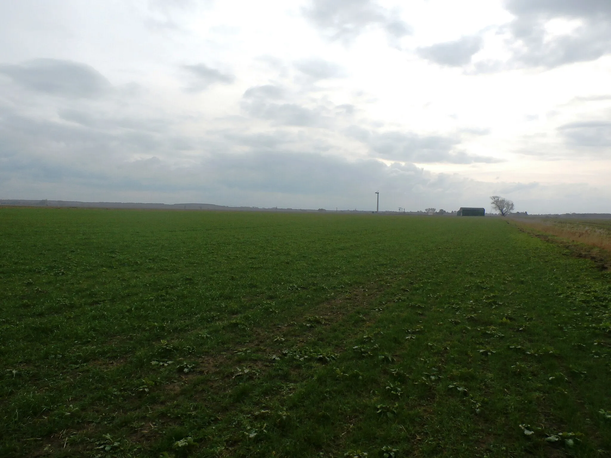 Photo showing: A Flat Landscape near Newlands