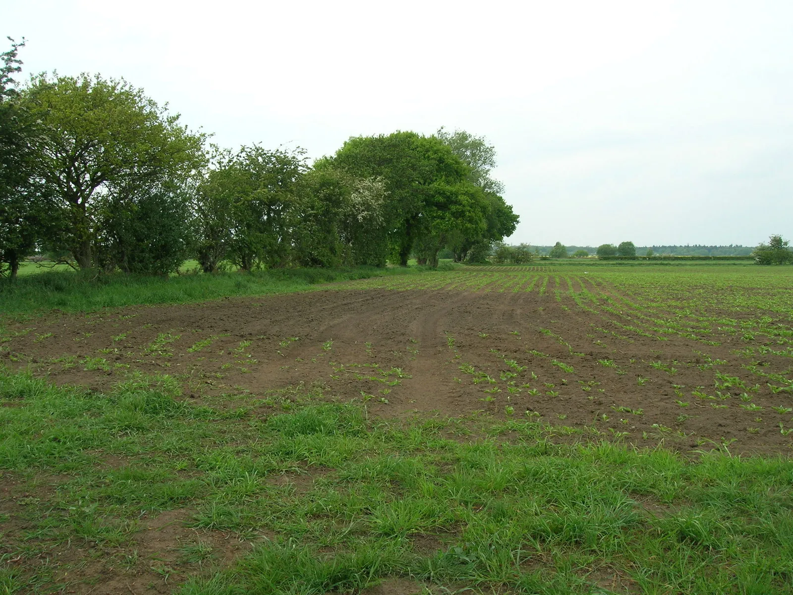 Photo showing: Farmland near Meadow View Farm