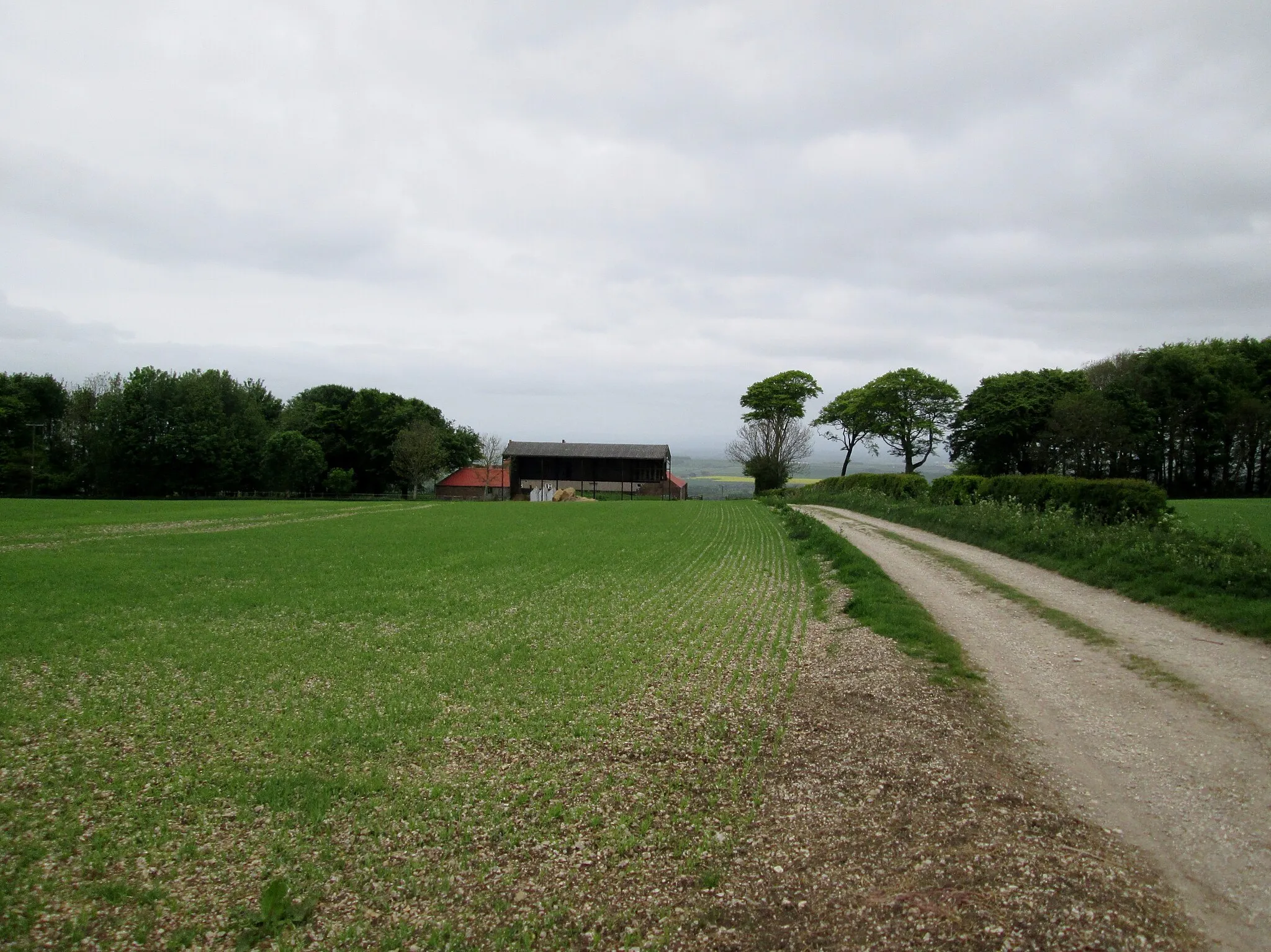 Photo showing: Access  track  to  Toisland  Farm