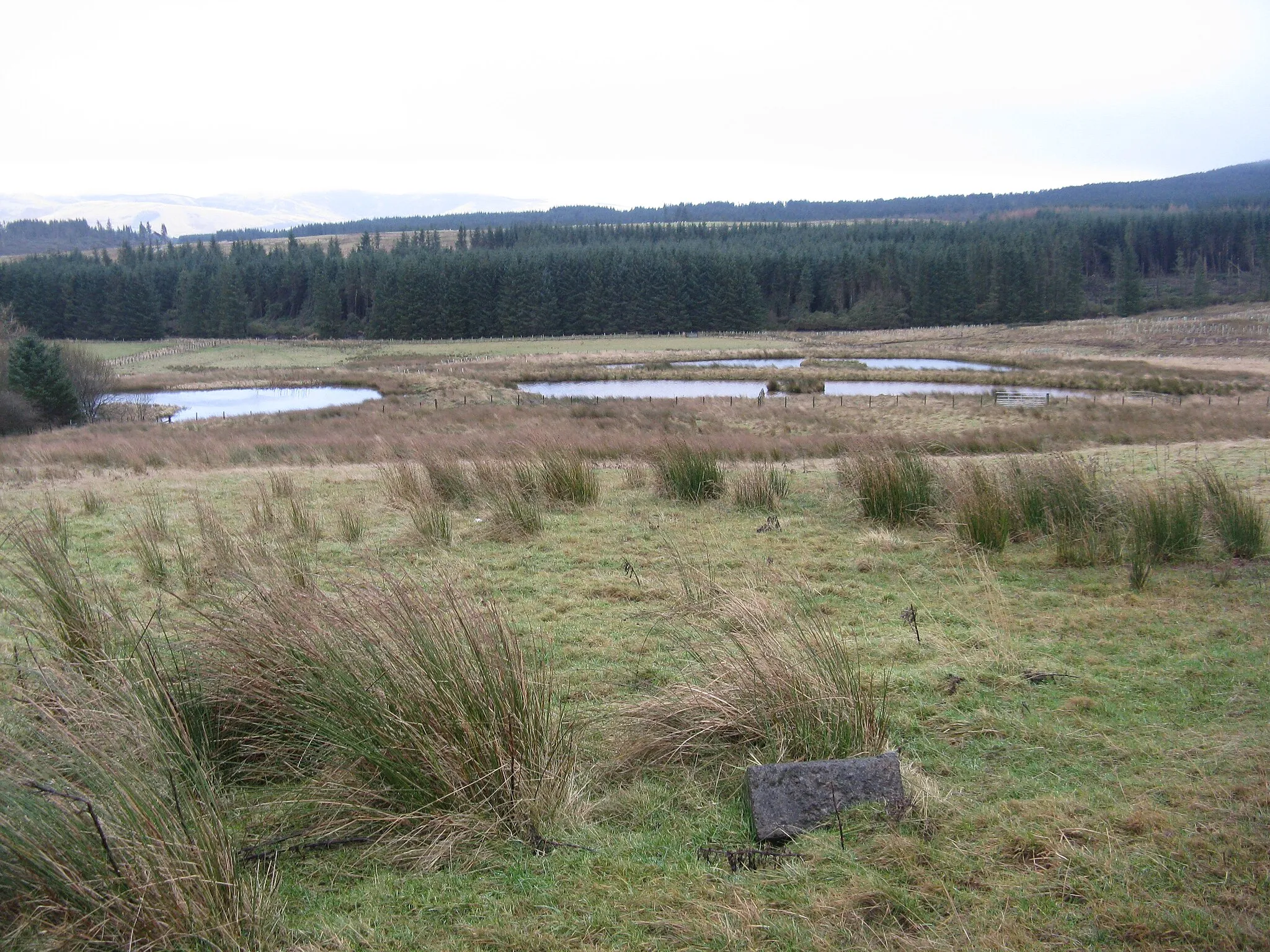 Photo showing: Ponds at Ruddenleys