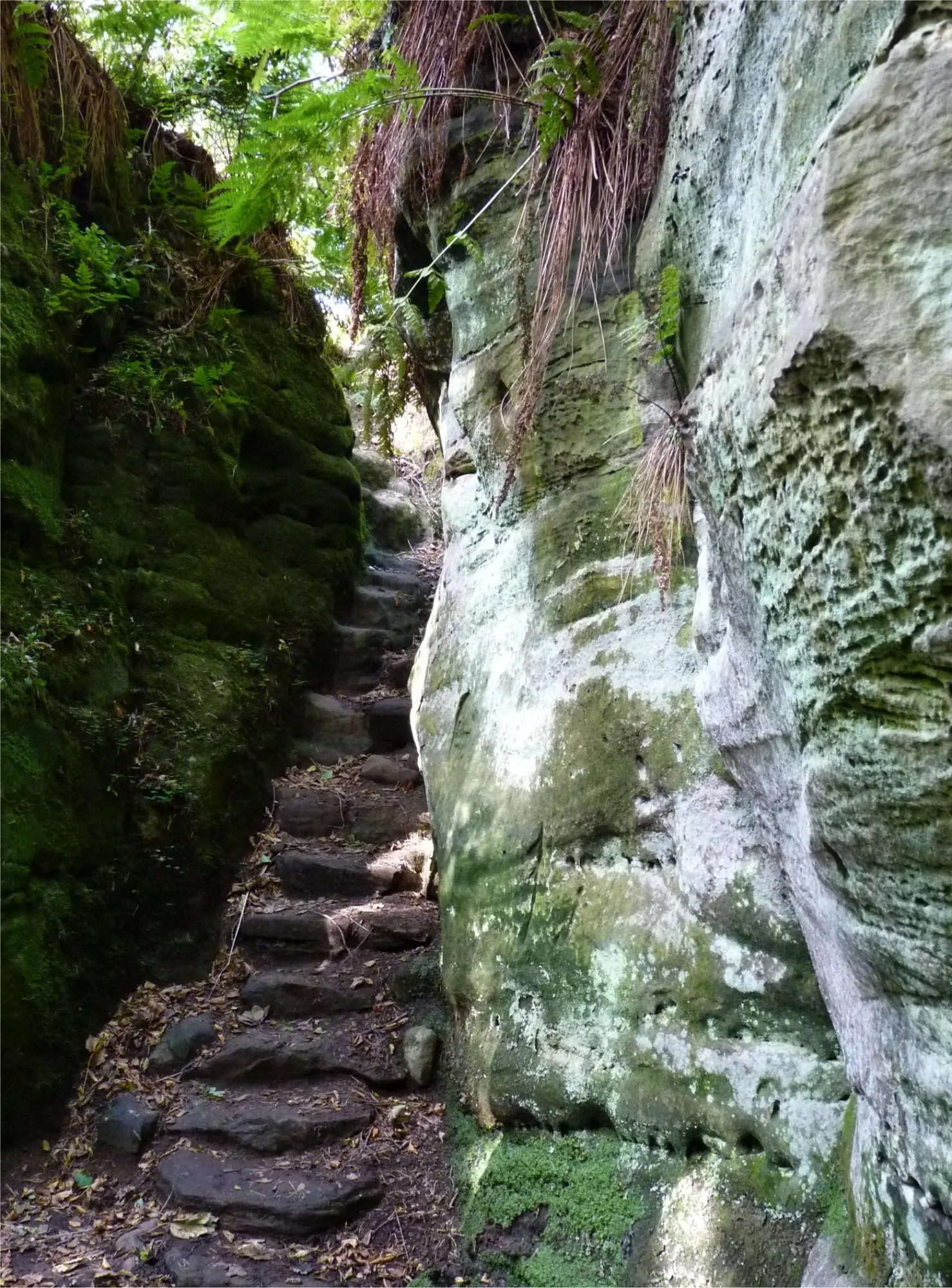 Photo showing: Pulpit steps