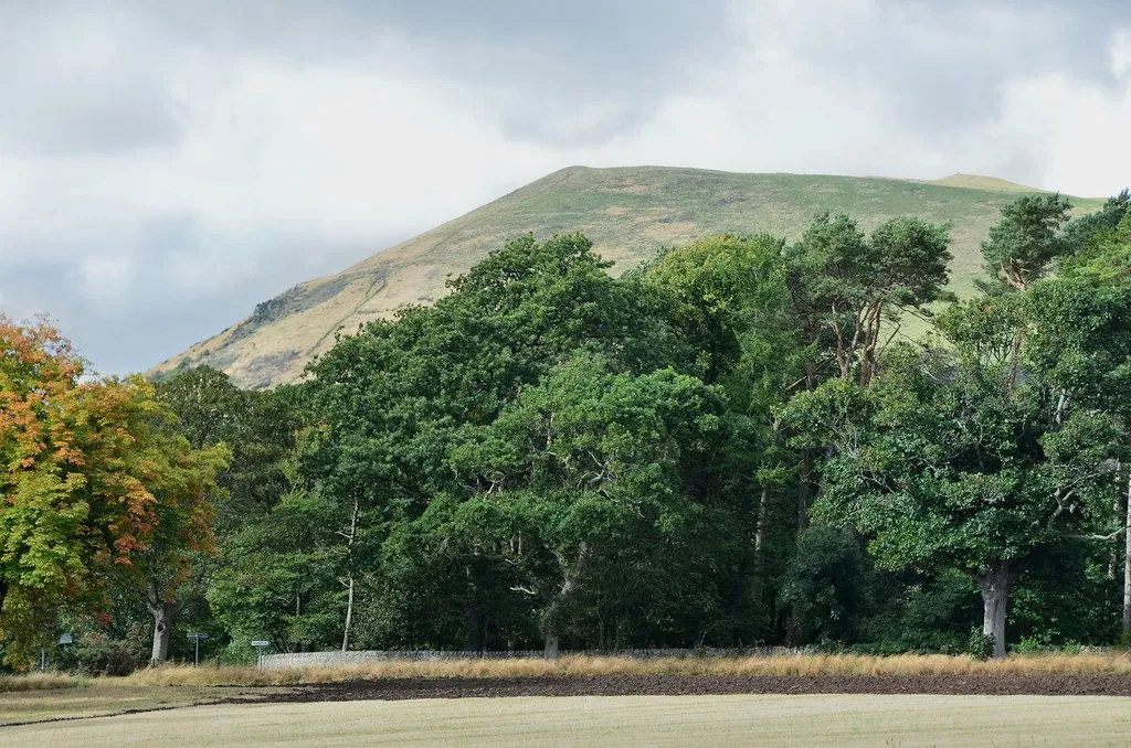 Photo showing: Largo Law profile