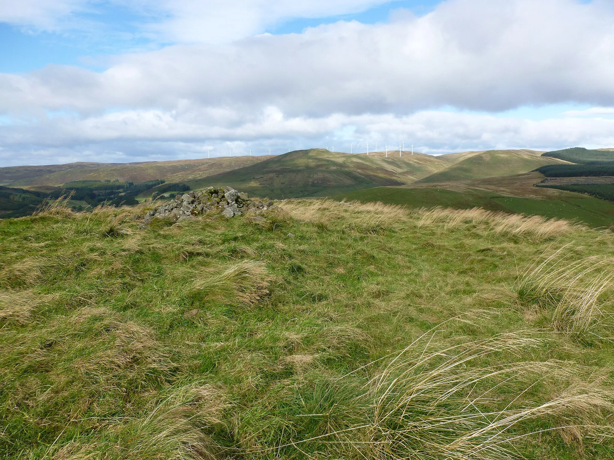Photo showing: Summit of Down Hill