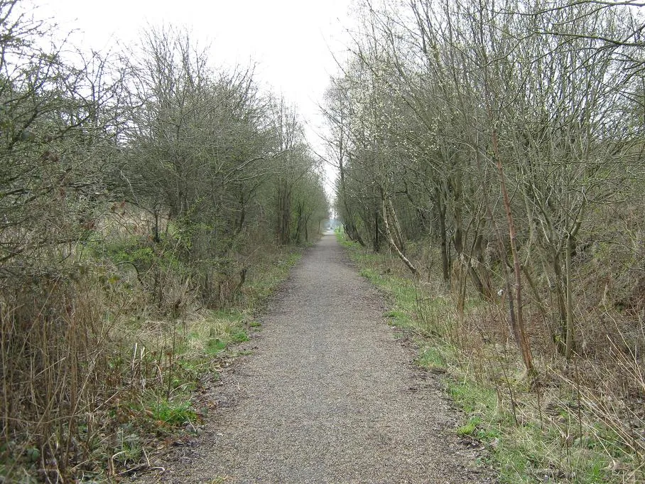 Photo showing: Dismantled Railway near Marnock