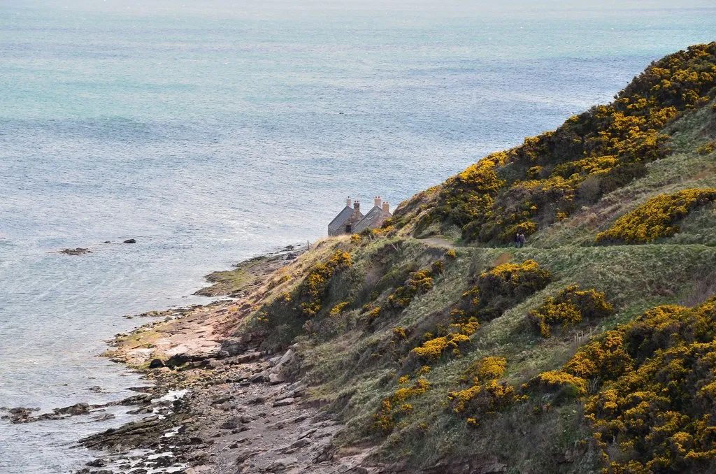 Photo showing: Track down to Cove Harbour