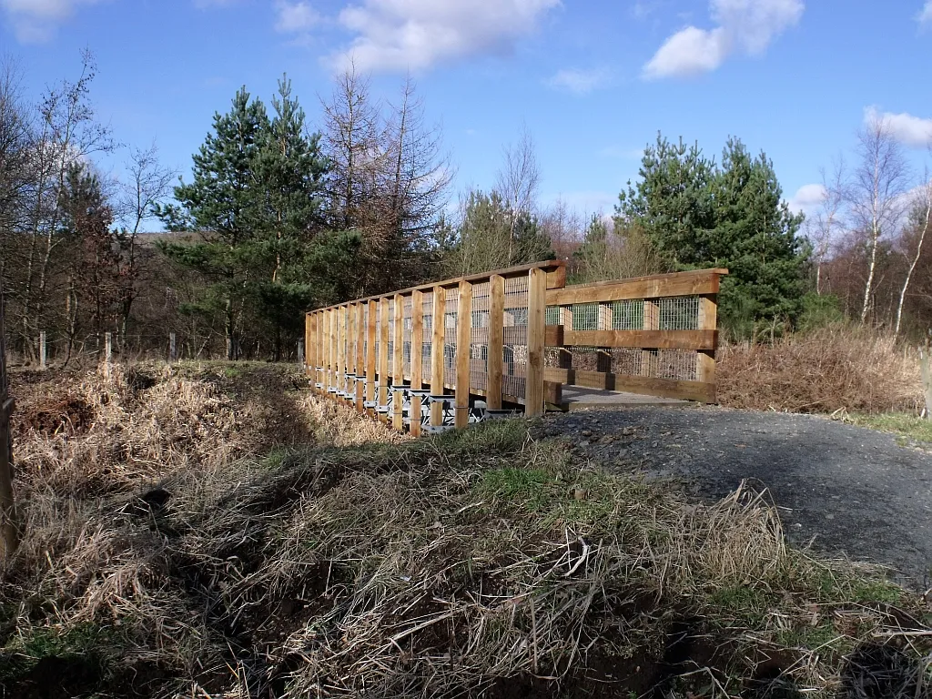 Photo showing: The Kelvin's newest bridge Footbridge recently built over the Kelvin west of Auchinvole connecting newly planted woodland to the north bank towards Dumbreck Marsh.