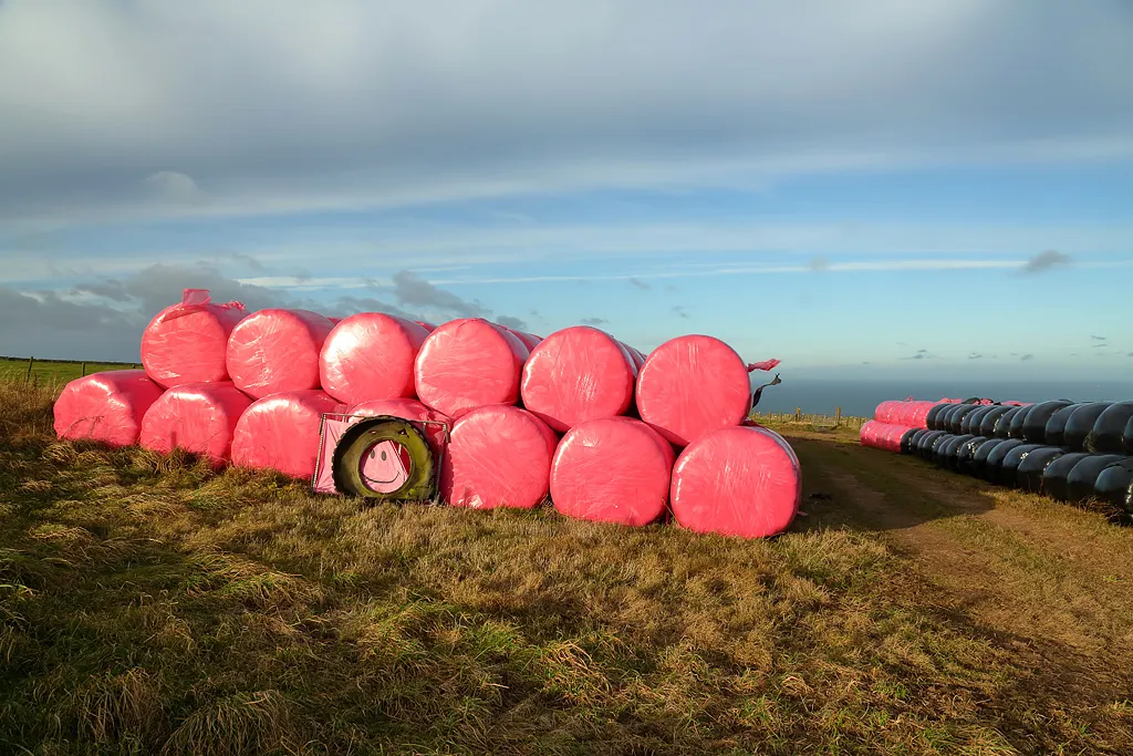 Photo showing: Wrapped bales at Meikle Black Law