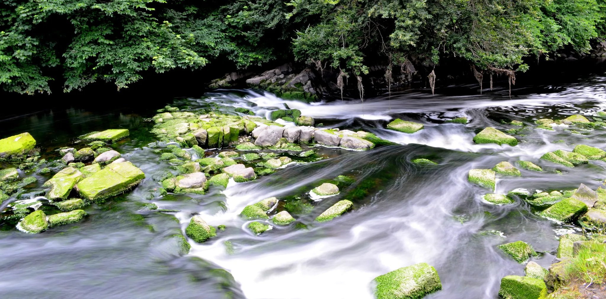 Photo showing: 500px provided description: Untitled [#trees ,#forest ,#water ,#river ,#rocks ,#green ,#waterfall ,#long exposure ,#flow ,#algae]