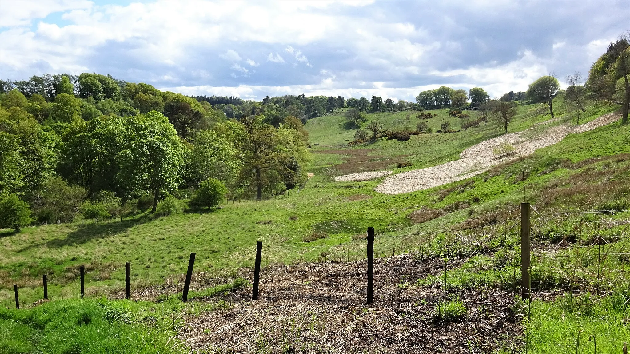 Photo showing: The Hewan Bog from Hewan Bank, Roslin, Midlothian, Scotland. The main site of the Battle of Roslin was just over the ridge to the right. The North Esk Water lies hidden in the trees to the left.