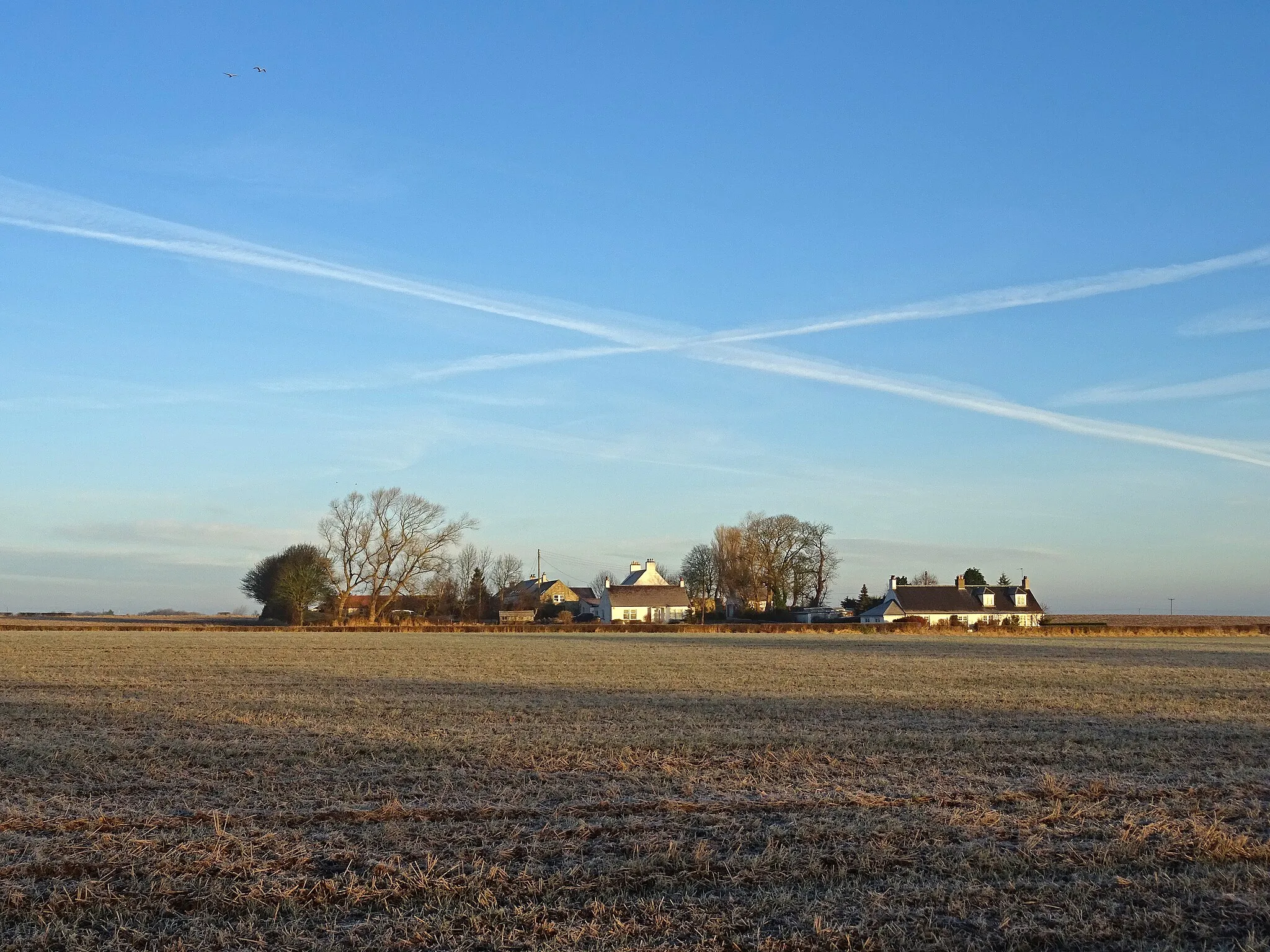 Photo showing: Saltire above Buxley