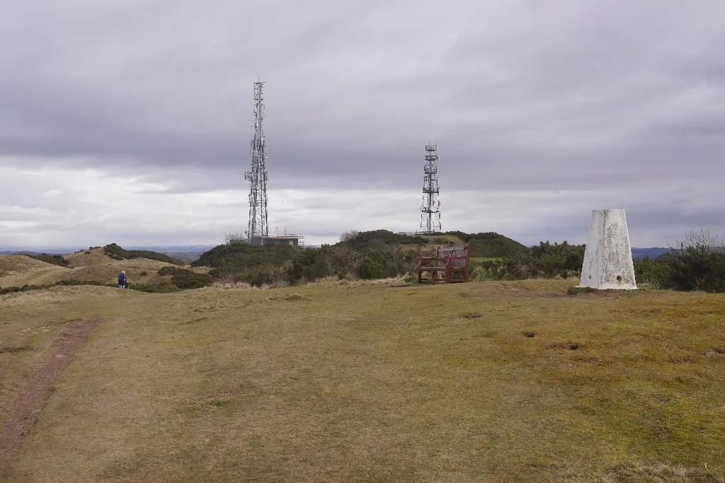 Photo showing: Braid Hills triangulation pillar