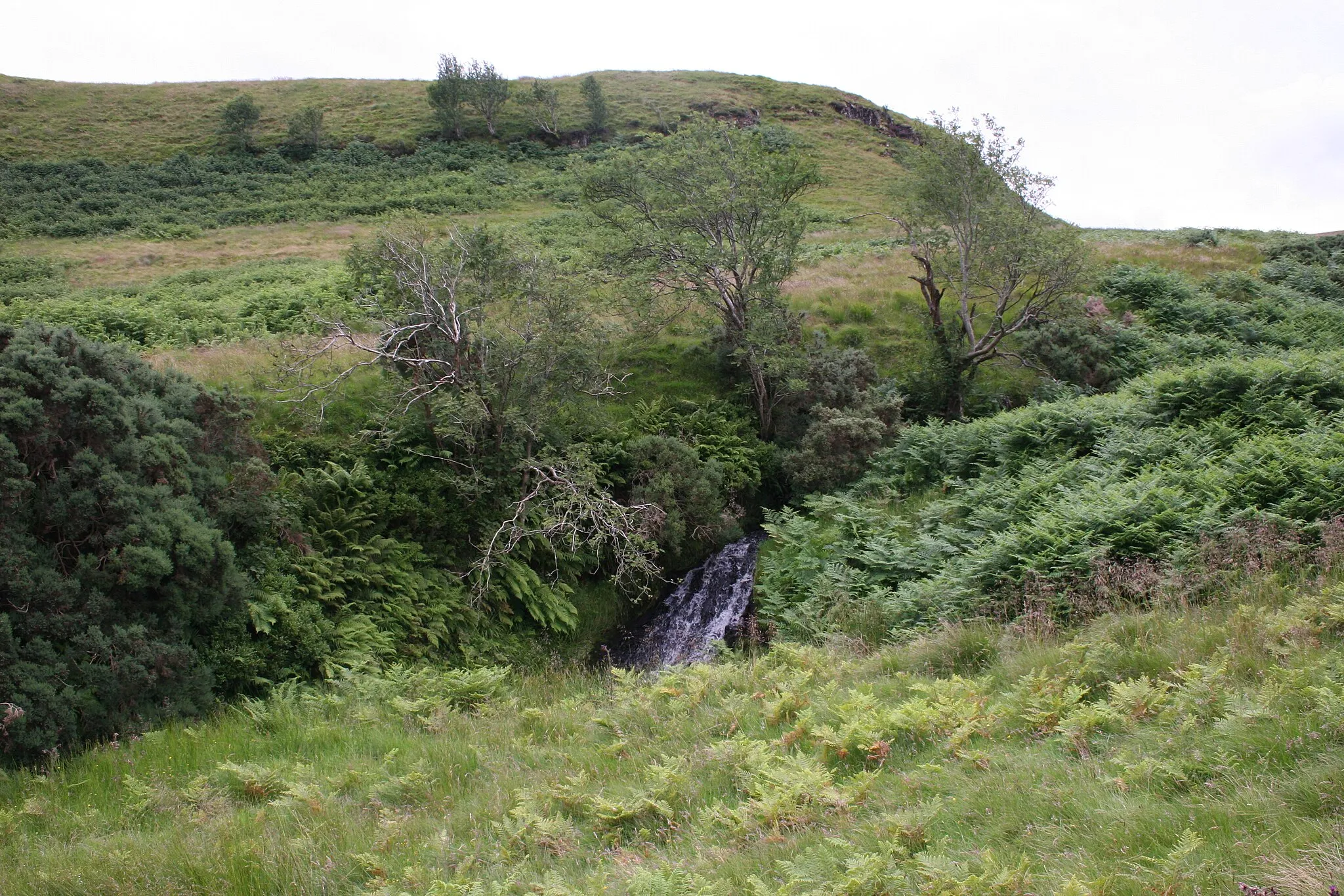 Photo showing: Waterfall on Craigton Burn
