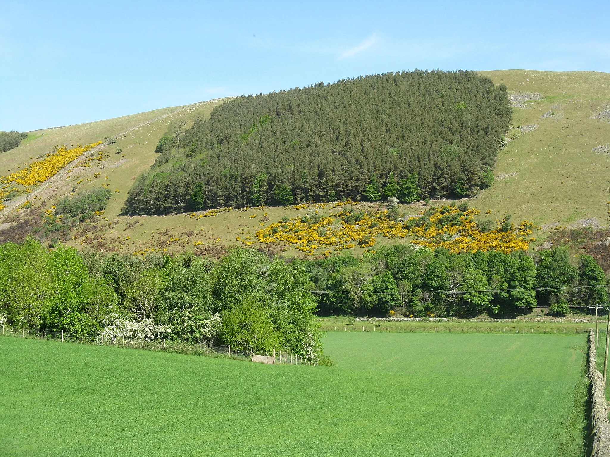 Photo showing: Plantation above Pyat Side