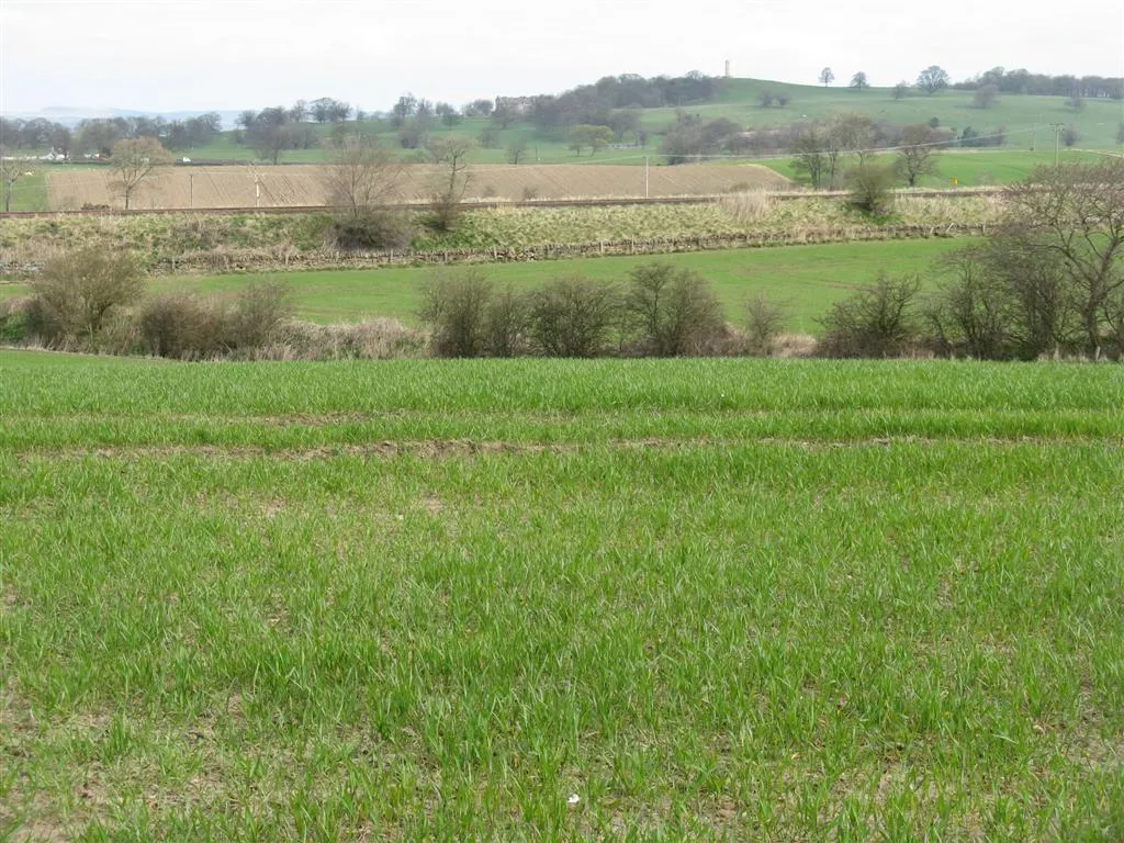 Photo showing: Fields at Philpstoun The landscape is bisected by the railway, and beyond that by the M9 motorway, which is hidden. On the horizon is the tower monument at the Binns.